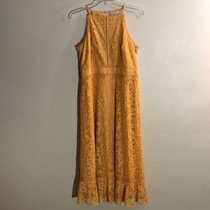 Antonio Melani mustard yellow lace dress